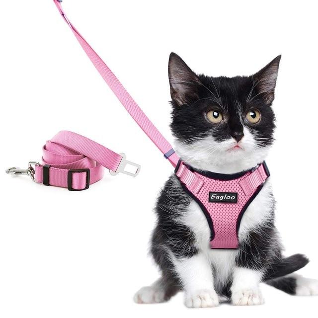 Playful Meow - Escape Proof Vest Harness for Kittens- Review
