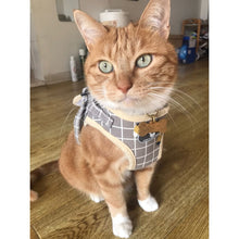 Load image into Gallery viewer, Playful Meow - Plaid Reflective Harness &amp; Leash- Review
