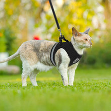 Load image into Gallery viewer, Playful Meow - &quot;The Gulliver&quot; Travelers Reflective Harness &amp; Leash- Review
