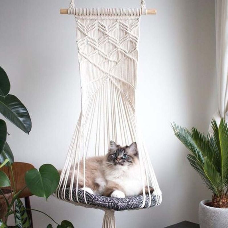 CAT LOUNGERS