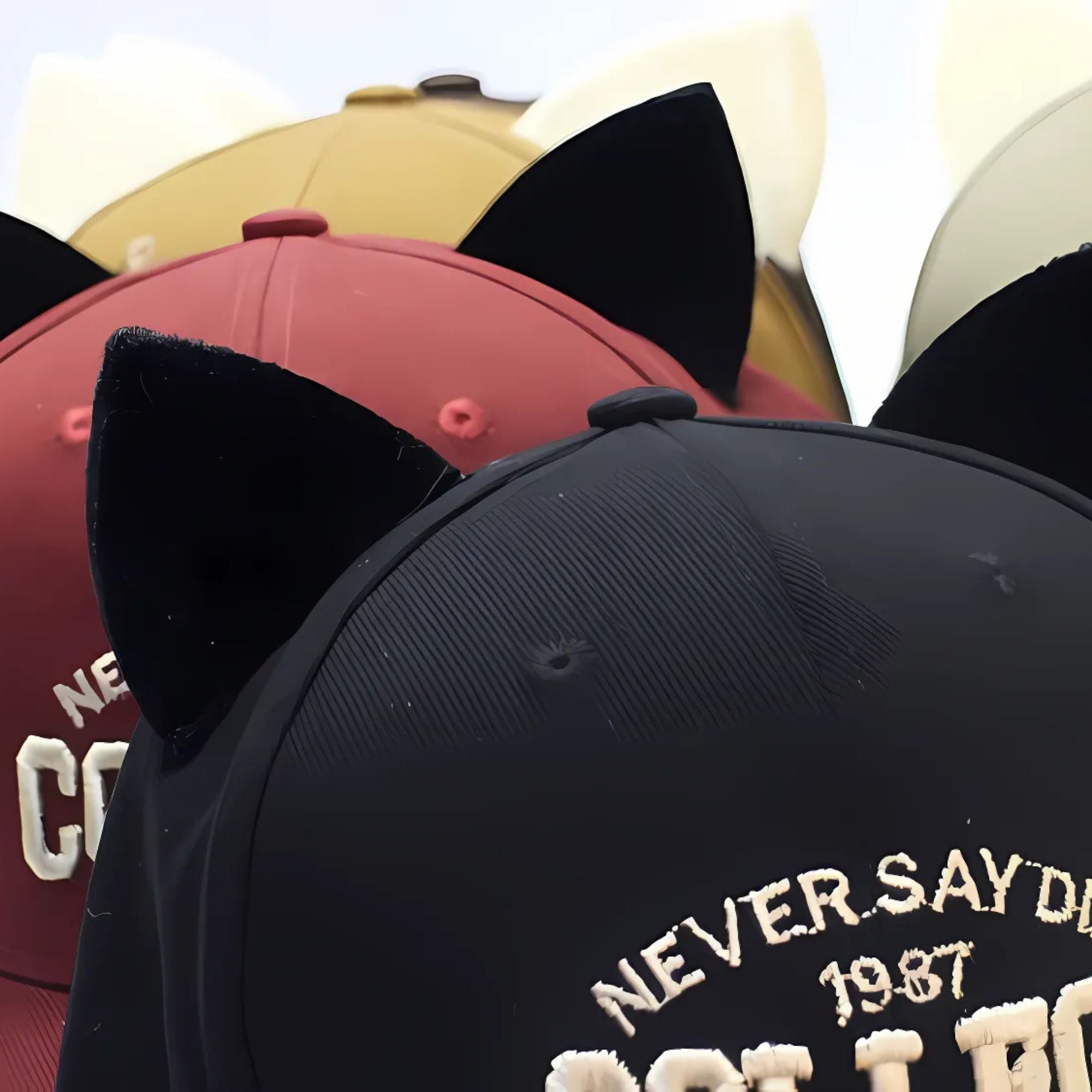 College Cat Ears Cap