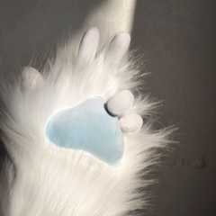 Close-up of a cat's paw with a blue paw pad on a gray background
