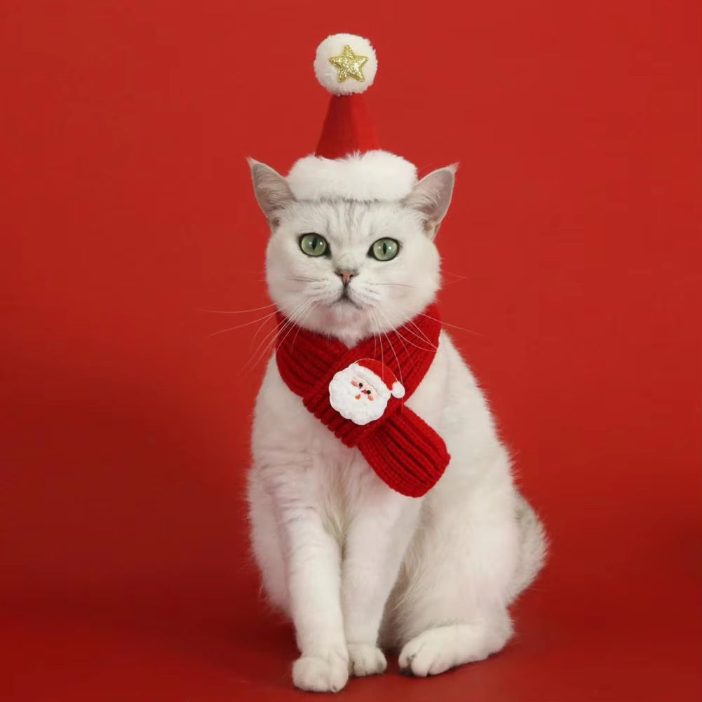 Christmas Pet Scarf with Charm