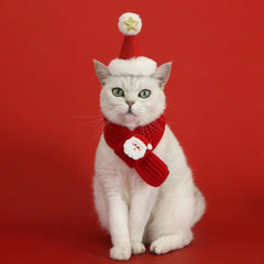 Christmas Pet Scarf with Charm