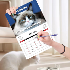 2026 Pissed-Off Cats Wall Calendar