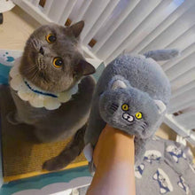 Load and play video in Gallery viewer, Cuddly Cat Fluffy Slippers
