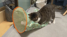 Load and play video in Gallery viewer, Kitty&#39;s Adventure Tunnel Bag

