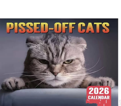 2026 Pissed-Off Cats Wall Calendar