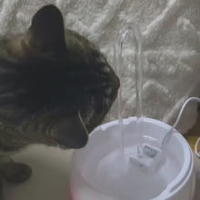 Load and play video in Gallery viewer, Eco-Friendly Cat Water Fountain Kit
