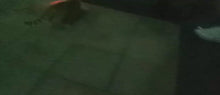 Load and play video in Gallery viewer, Funny And Interactive Laser Cat Toy
