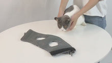 Load and play video in Gallery viewer, Classic Japanese Print Cat Harness Vest and Leash [Escape Proof]
