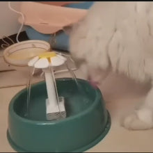 Load and play video in Gallery viewer, Eco-Friendly Cat Water Fountain Kit
