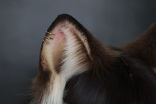 Load image into Gallery viewer, Handmade Mystic Forest Fur Ears
