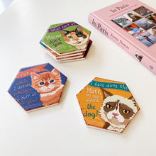 Load image into Gallery viewer, Mischievous Cat Ceramic Coasters
