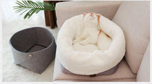 Load image into Gallery viewer, Playful Meow - 2-in-1 Detachable Felt and Wool Cozy Cat Bed- Review
