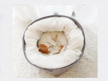 Load image into Gallery viewer, Playful Meow - 2-in-1 Detachable Felt and Wool Cozy Cat Bed- Review
