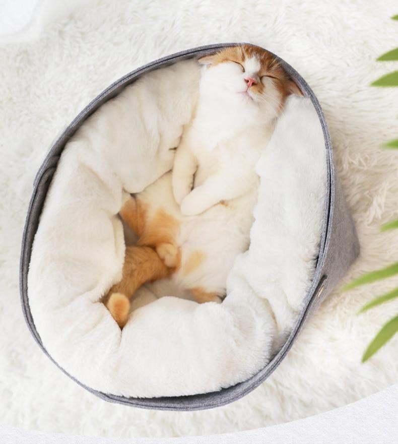 Playful Meow - 2-in-1 Detachable Felt and Wool Cozy Cat Bed- Review