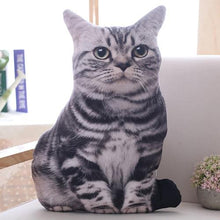 Load image into Gallery viewer, Playful Meow - 3D printing Cat Sleeping Pillows Soft Cushion- Review
