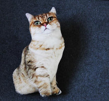 Load image into Gallery viewer, Playful Meow - 3D printing Cat Sleeping Pillows Soft Cushion- Review

