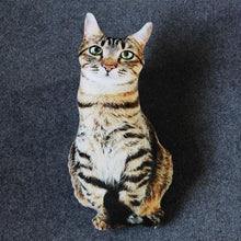 Load image into Gallery viewer, Playful Meow - 3D printing Cat Sleeping Pillows Soft Cushion- Review
