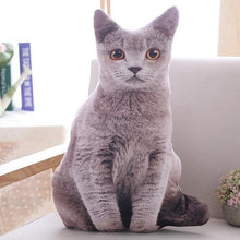 Load image into Gallery viewer, Playful Meow - 3D printing Cat Sleeping Pillows Soft Cushion- Review
