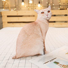 Load image into Gallery viewer, Playful Meow - 3D printing Cat Sleeping Pillows Soft Cushion- Review
