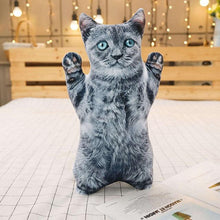 Load image into Gallery viewer, Playful Meow - 3D printing Cat Sleeping Pillows Soft Cushion- Review
