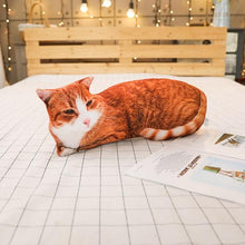 Load image into Gallery viewer, Playful Meow - 3D printing Cat Sleeping Pillows Soft Cushion- Review
