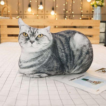 Load image into Gallery viewer, Playful Meow - 3D printing Cat Sleeping Pillows Soft Cushion- Review
