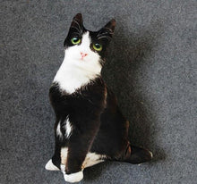 Load image into Gallery viewer, Playful Meow - 3D printing Cat Sleeping Pillows Soft Cushion- Review
