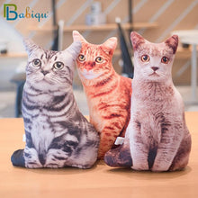 Load image into Gallery viewer, Playful Meow - 3D printing Cat Sleeping Pillows Soft Cushion- Review
