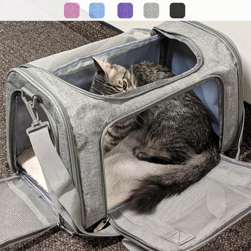 Playful Meow - 4 Side Convertible Cat Carrier (Airline Approved)- Review