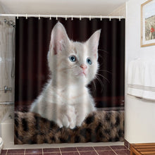 Load image into Gallery viewer, Adventurous Cats Shower Curtain
