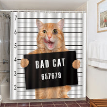 Load image into Gallery viewer, Adventurous Cats Shower Curtain
