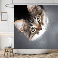 Load image into Gallery viewer, Adventurous Cats Shower Curtain

