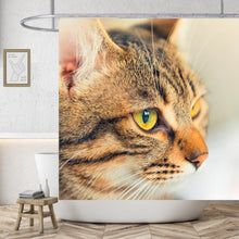Load image into Gallery viewer, Adventurous Cats Shower Curtain
