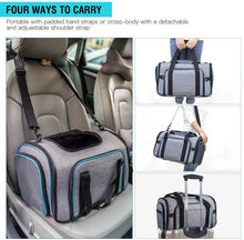 Load image into Gallery viewer, Playful Meow - Airline Approved Expandable Pet Carrier- Review
