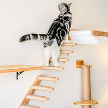Load image into Gallery viewer, Amusing Wall-Mounted Cat Furniture
