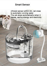 Load image into Gallery viewer, Playful Meow - Auto Drinking Fountain with Smart Motion Sensor- Review
