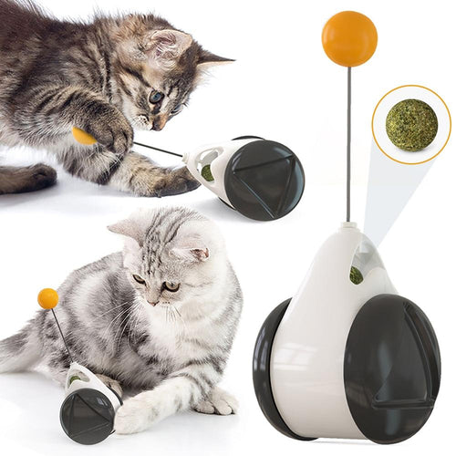 Playful Meow - Automatic Tumbler Catnip Teaser- Review