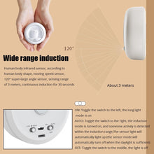 Load image into Gallery viewer, Playful Meow - Bedside Kitty Induction Night Light- Review
