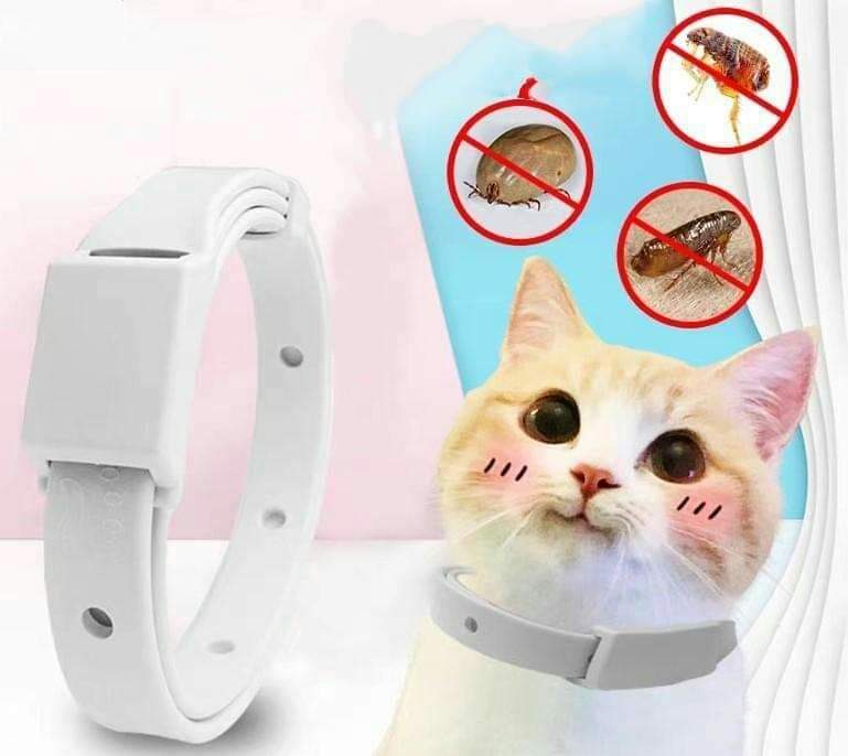 Botanical Anti Flea & Tick Collar