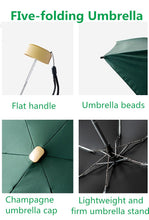 Load image into Gallery viewer, Playful Meow - Cat Lady&#39;s Little Umbrellas Windproof Anti UV- Review
