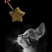 Load image into Gallery viewer, Playful Meow - Catnip Cat Toy Pet Kitten Chewing toy herbe a chat Cute Lollipop Silvervine Ball Catnip Treat Ball Cat Teething Toy Cat Supplies- Review
