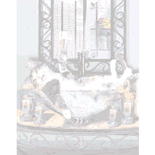 Load image into Gallery viewer, Playful Meow - &quot;Cheers Hooman&quot; DIY Painting- Review
