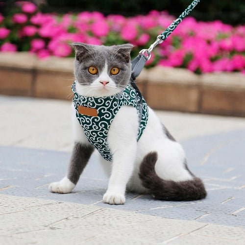 Playful Meow - Classic Japanese Print Cat Harness Vest and Leash [Escape Proof]- Review