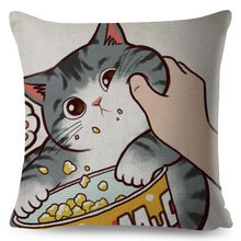Load image into Gallery viewer, Cuddle Time With Cat Pillow Case
