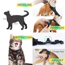 Load image into Gallery viewer, Playful Meow - Escape Proof Vest Harness for Kittens- Review
