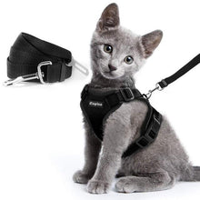 Load image into Gallery viewer, Playful Meow - Escape Proof Vest Harness for Kittens- Review
