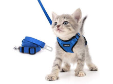 Load image into Gallery viewer, Playful Meow - Escape Proof Vest Harness for Kittens- Review
